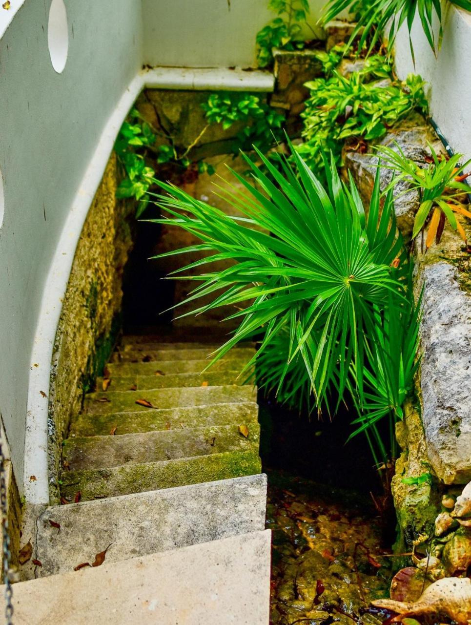 فندق El Tropical بلايا ديل كارمن المظهر الخارجي الصورة